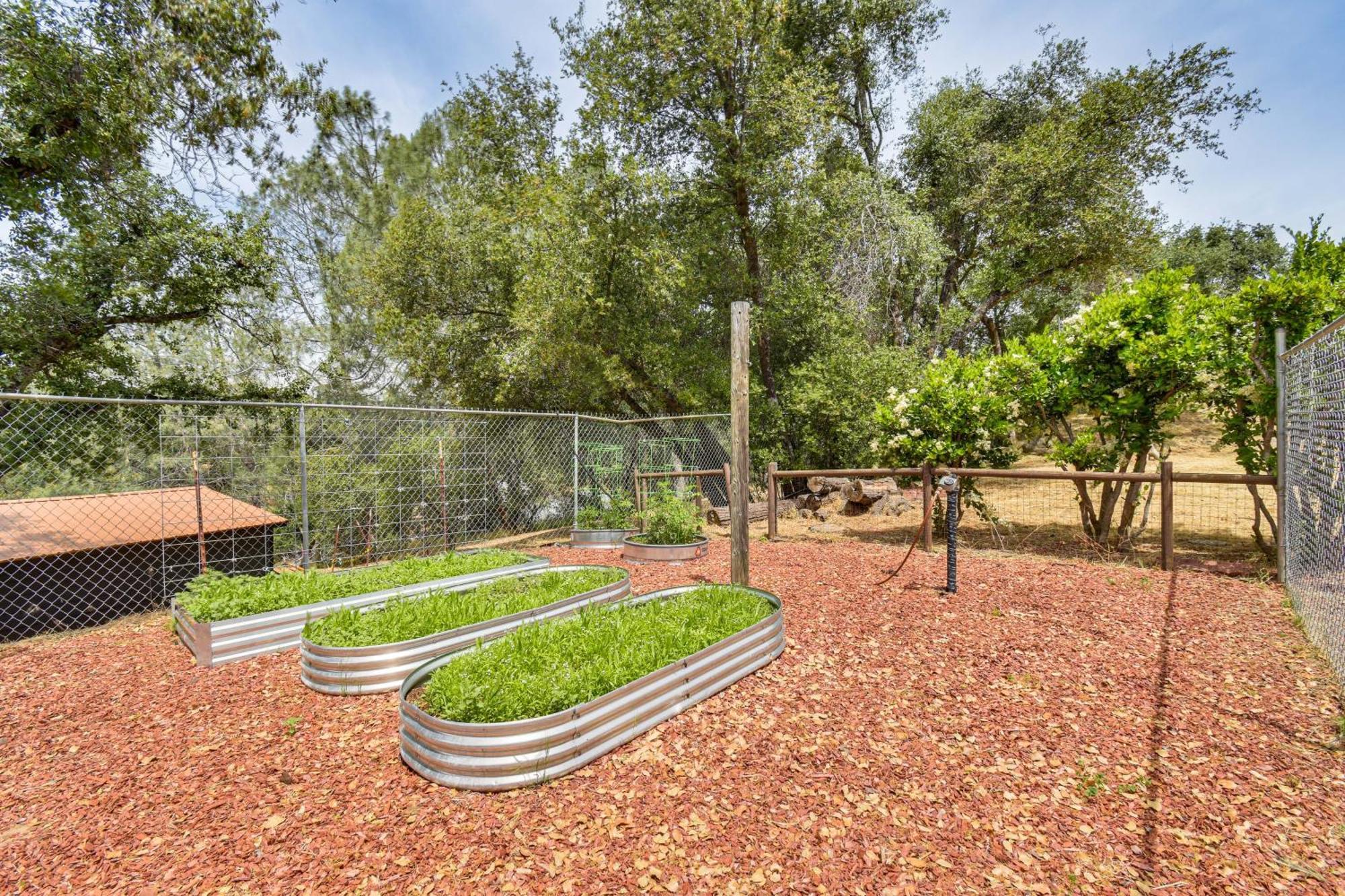 Appartement Yosemite Wellbeing Retreat On 5 Acres With Mtn Views à Ahwahnee Extérieur photo